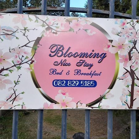 Blooming Nice Stay Гаррисмит Экстерьер фото